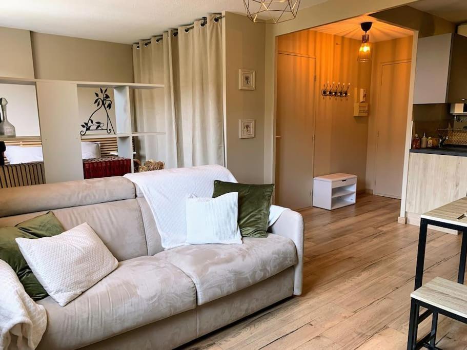 Appartement Cosy Proche Centre Draguignan Buitenkant foto